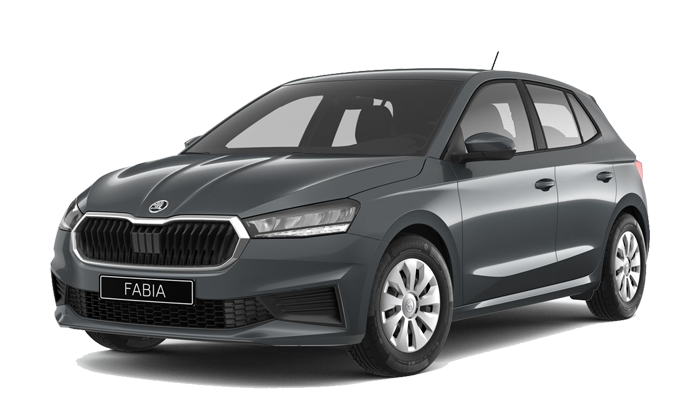 Deze ŠKODA Fabia is vergelijkbaar aan de Volkswagen Polo